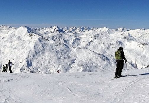 Holiday Petsitter Wanted: Exchange Cat and Dog Care for a Ski Holiday in Oslo, Sweden